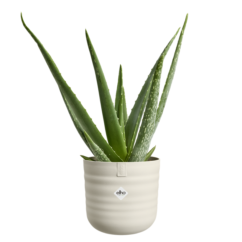Elho Dune Round 18cm Linen White – additional product view