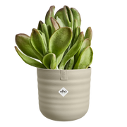 Elho Dune Round 18cm Mushroom Beige – additional product view