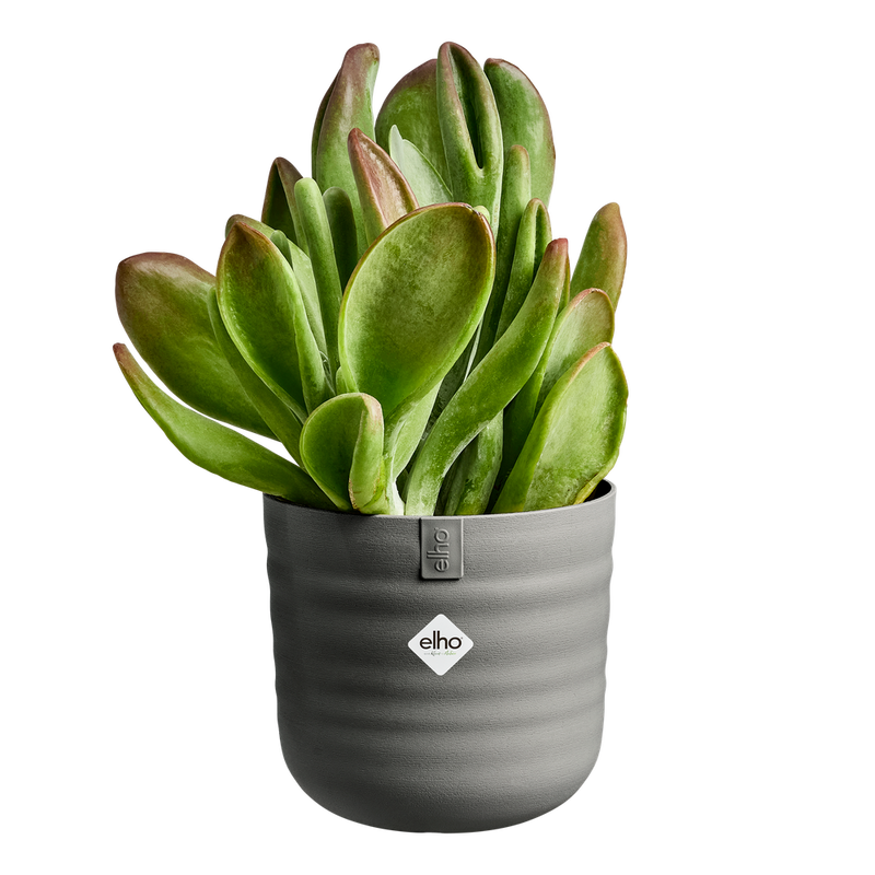 Elho Dune Round 25cm Warm Anthracite – additional product view
