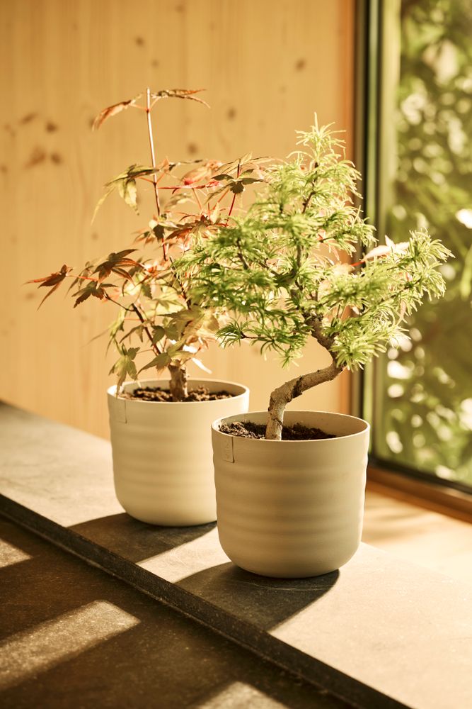 Elho Dune Round range – range lifestyle inspiration