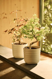 Elho Dune Round range – range lifestyle inspiration