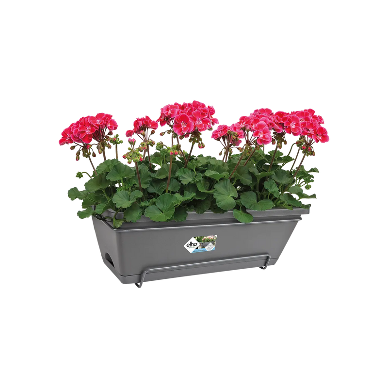 Elho Barcelona All in One 50cm Window Box Anthracite