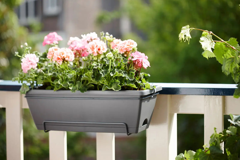 Elho Barcelona All in One 50cm Window Box Anthracite