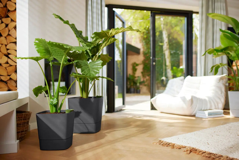 Greensense Aqua Care Square 30cm Charcoal Grey