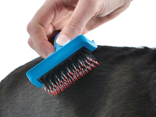 Ancol Ergo Hedgehog Slicker Large