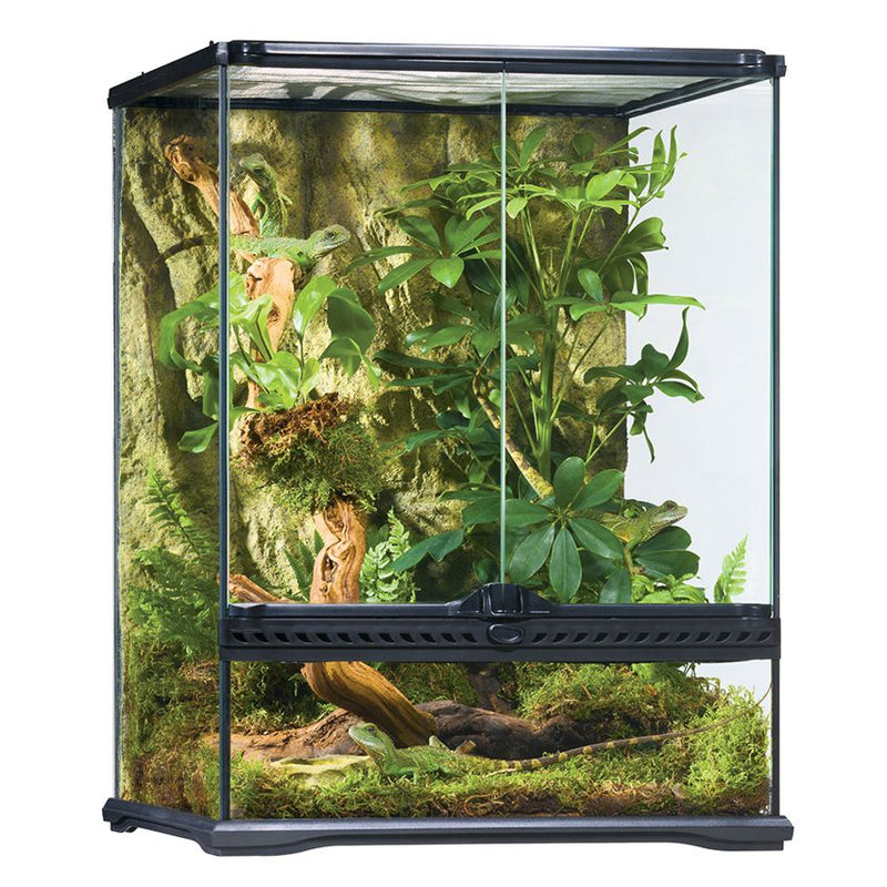 Exo Terra Glass Terrarium Small 45x45x60cm