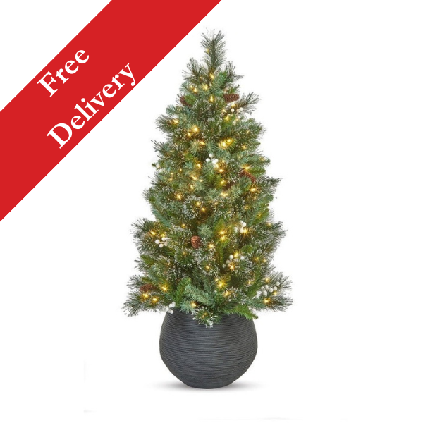 4ft pre-lit Oakridge Spruce entrance Christmas tree with 200 warm white LEDs with free delivery banner