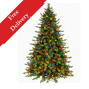 7.5 Foot Pre-Lit Vienna Fir Artificial Christmas Tree with 750 Dual Colour Lights – Free Delivery