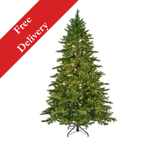 8ft Galloway Spruce with 5,400 Warm White LED Lights – Free Delivery