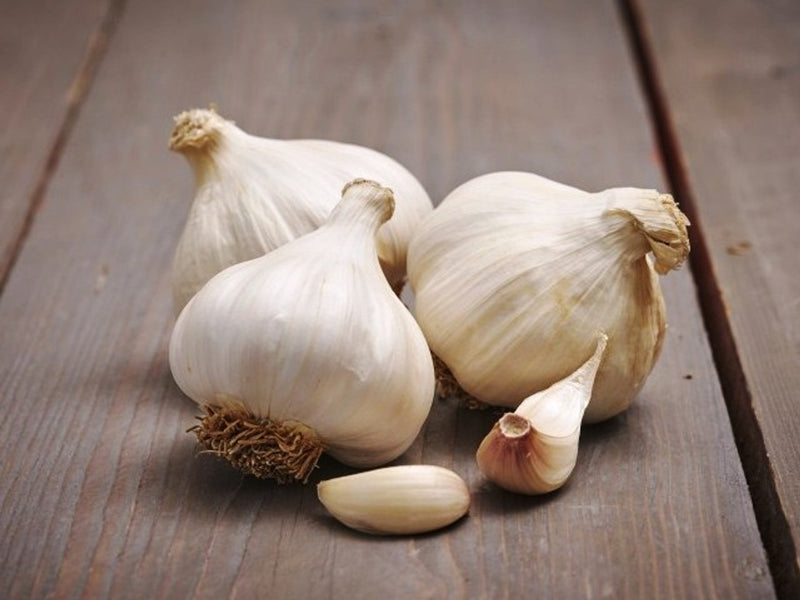 French Garlic Messidrome (2 Bulbs Per Pack)
