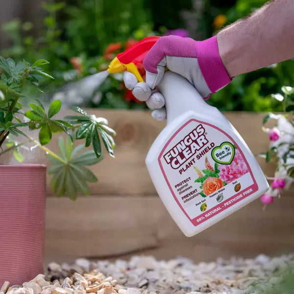 house plant fungus spray FungusClear Organic Plant Shield (Ready To Use Spray) 800ml — Newlands Garden Centre