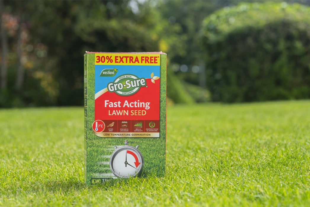 Westland Gro-Sure Fast Acting Lawn Seed (10m2) + 30% Extra Free
