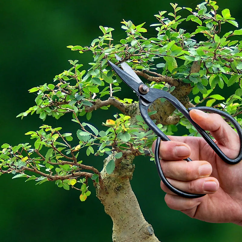 Esschert Bonsai Shears – Large