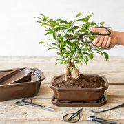 Esschert Bonsai Shears – Large