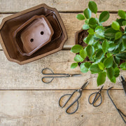 Esschert Bonsai Shears – Large