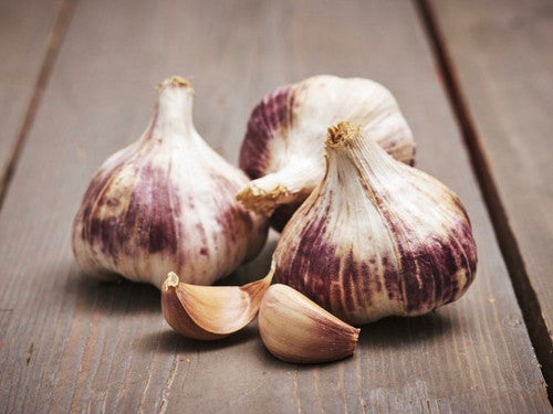 Garlic Therador (3 Cloves Per Pack)