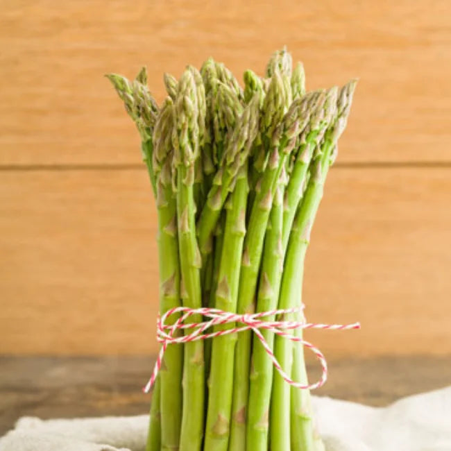 Asparagus officinalis 'Gijnlim'  / P15