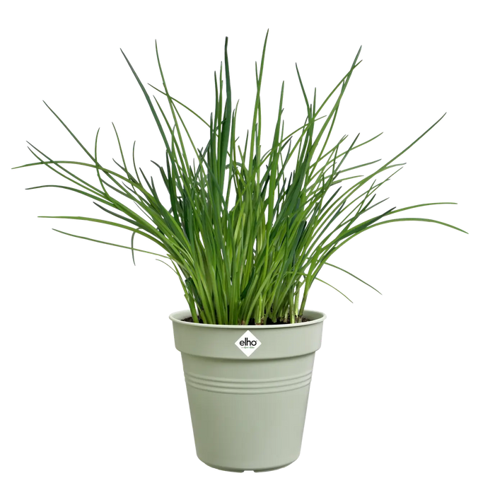 Green Basics Growpot 30cm Stone Green