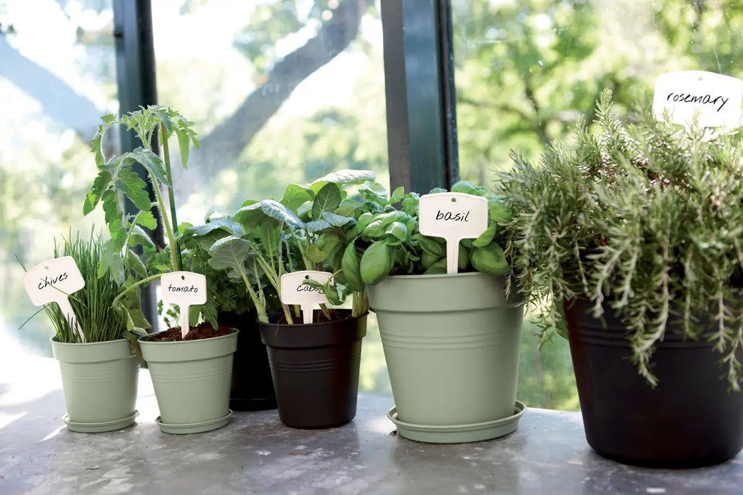 Green Basics Growpot 13cm Stone Green