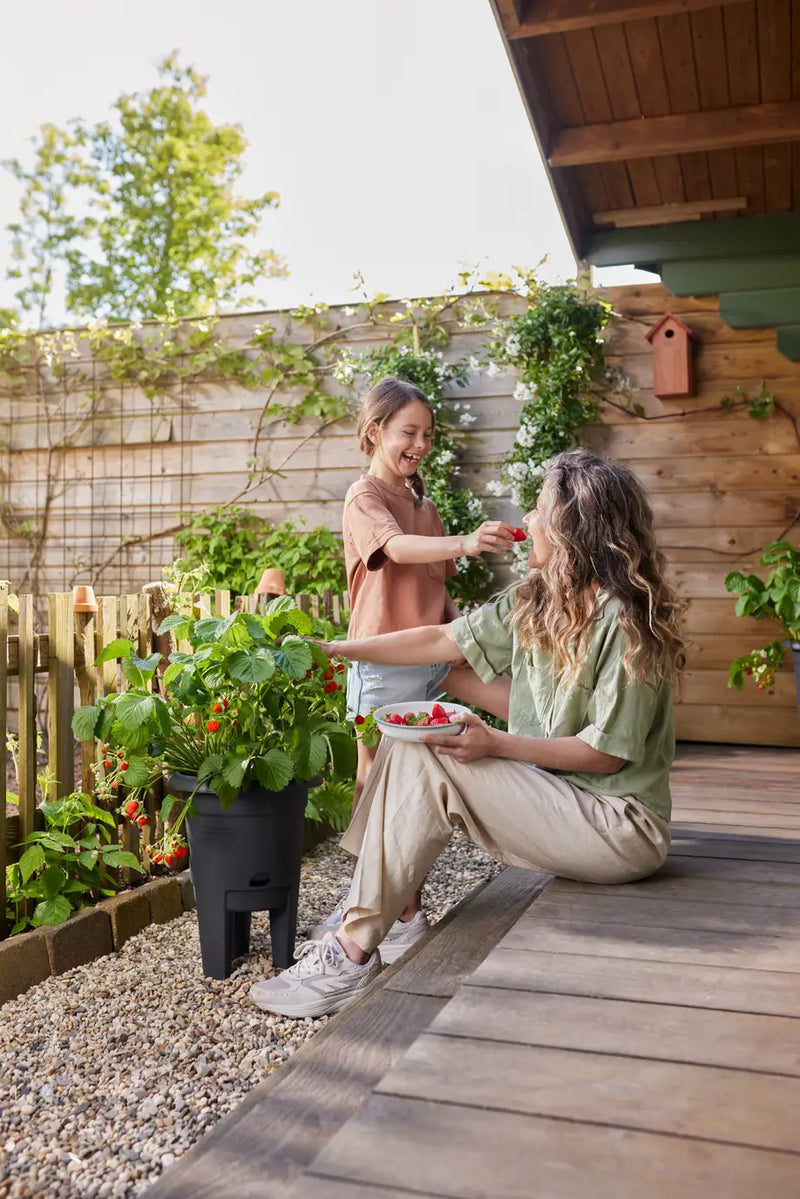 Green Basics Strawberry Pot 33cm Living Black