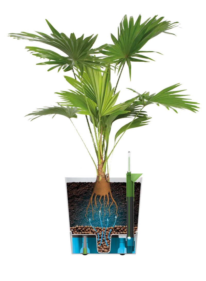 Greensense Aqua Care Round 30cm Light Concrete