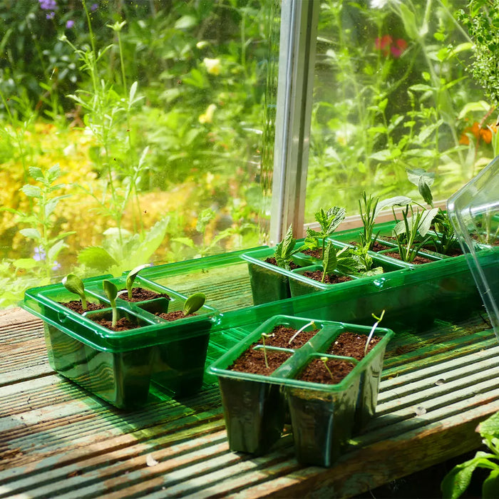 Gro-Sure Windowsill Propagator