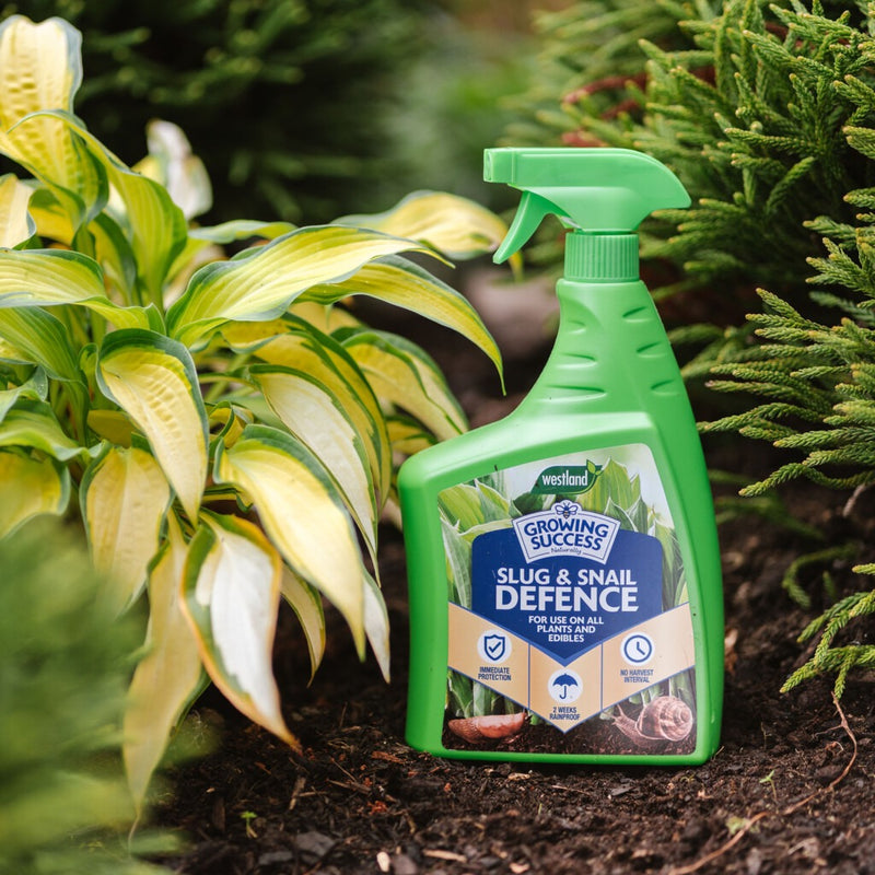 Growing Success Slug & Snail Defence Spray 1L RTU