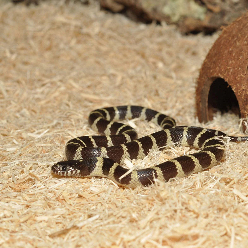 HabiStat Snake Bedding (10 Litres)