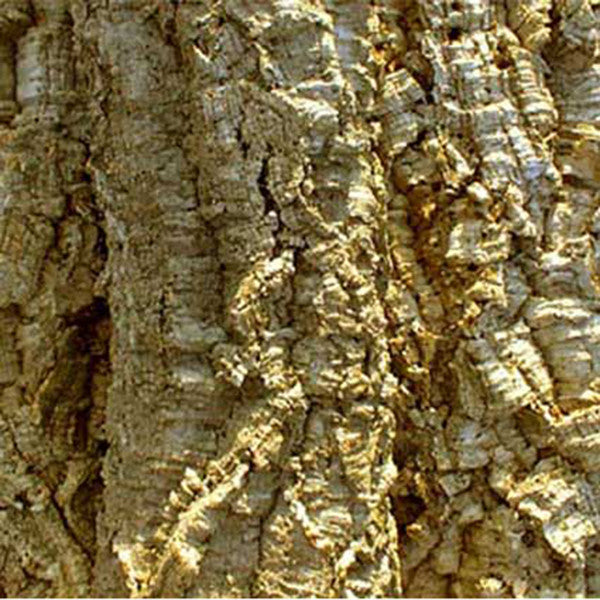 HabiStat Cork Bark (5 Kilograms Bag)