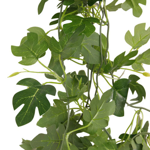 Habistat Hanging Vine, Hyphosis, 100cm