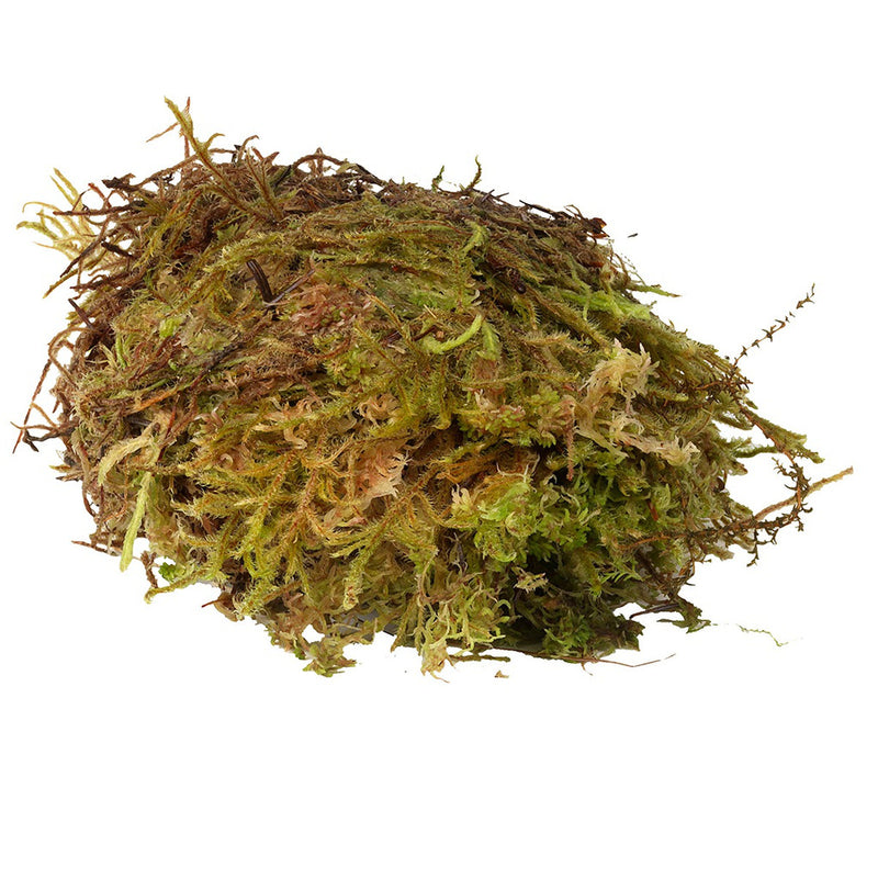 Habistat Sphagnum Moss 12kg (Bulk)