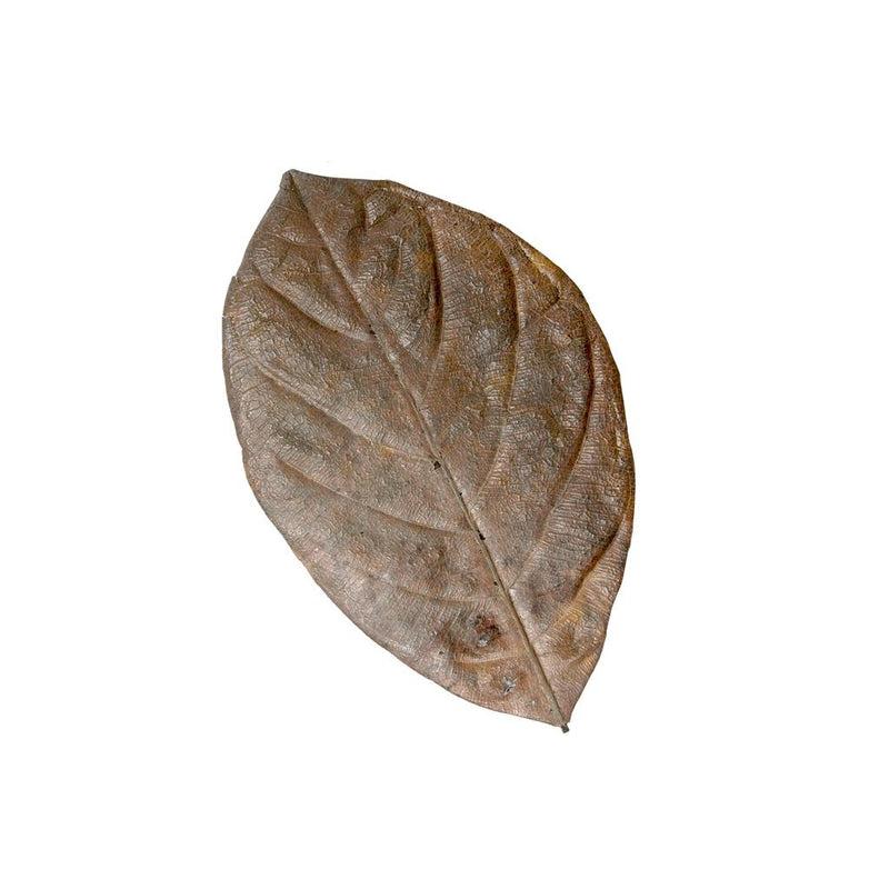 HabiStat Natural Mixed Leaves – 30 Pack