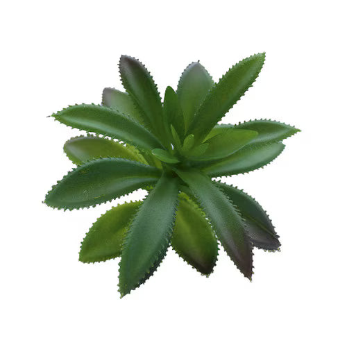 Habistat Artificial Plant, 3 pack Succulent
