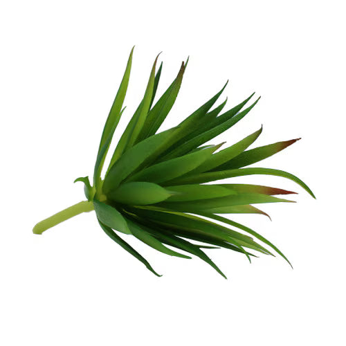 Habistat Artificial Plant, 3 pack Succulent