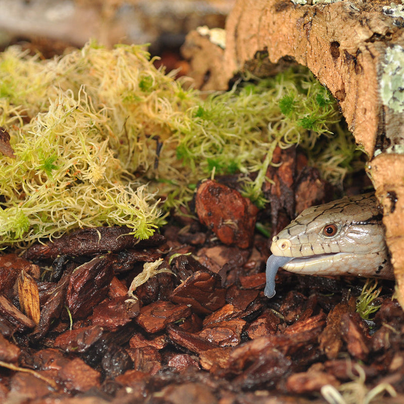 Habistat Orchid Bark Substrate (5 Litre)