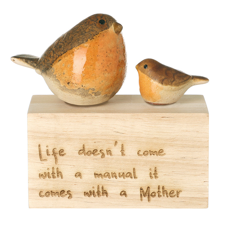 Life Doesn't Come with a Manual robin wooden block decoration – Heaven Sends