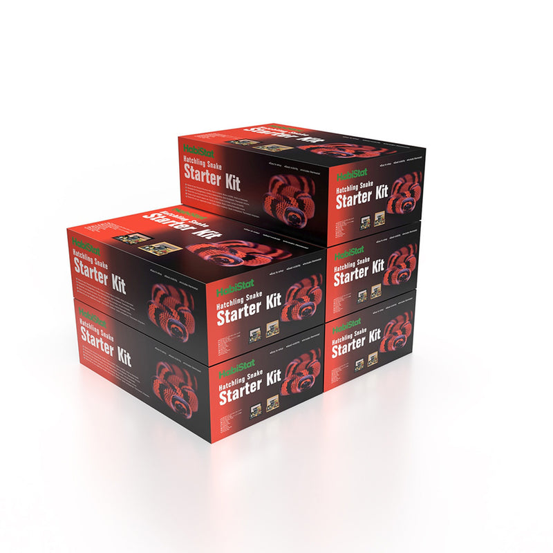 HabiStat Hatchling Snake Starter Kit Black 61 x 38 x 20cm