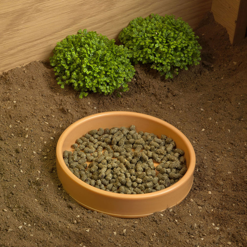 HabiStat Tortoise Accessory Kit Only - No Table