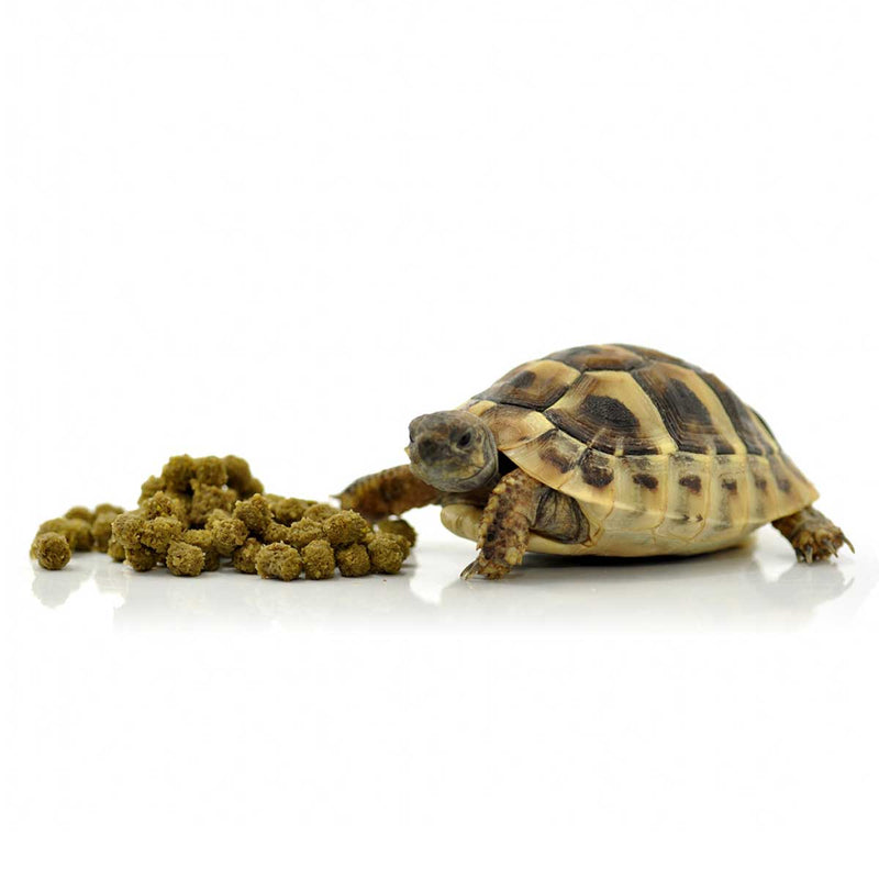 HabiStat Tortoise Food Fruit & Flower, 800g