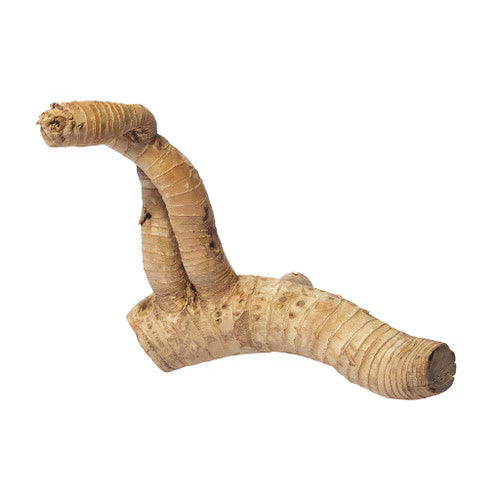 Habistat Bamboo Root, medium