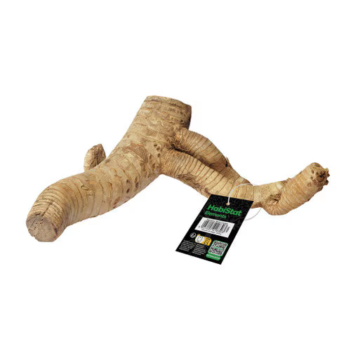 Habistat Bamboo Root, medium