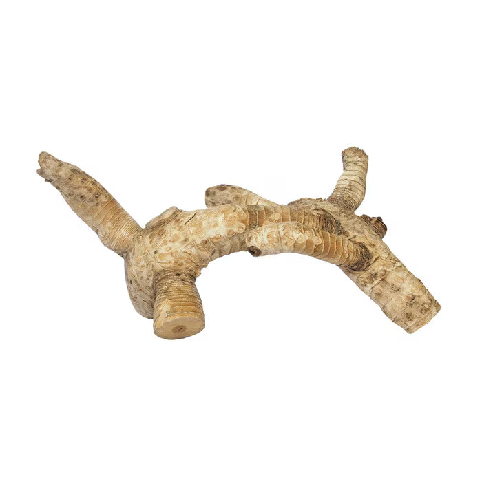 Habistat Bamboo Root, medium