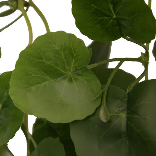 Habistat Hanging Vine Plus, Begonia 100cm