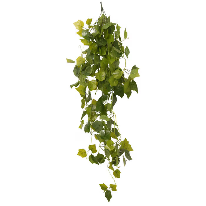 Habistat Hanging Vine Plus, Greenery Grape 100cm