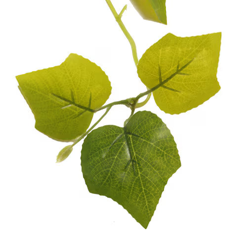 Habistat Hanging Vine Plus, Greenery Grape 100cm