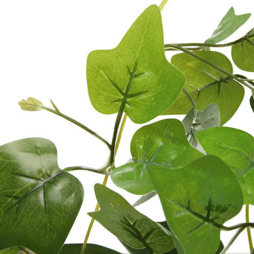 Habistat Hanging Vine Plus, Sweet Potato 100cm