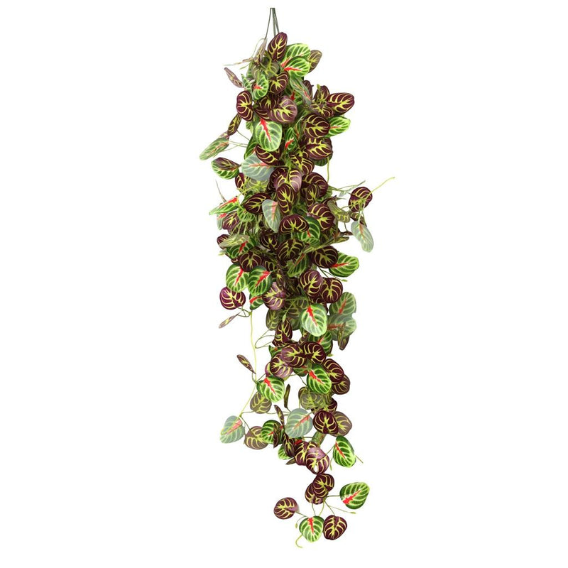Habistat Hanging Vine Plus, autumn Apple 100cm