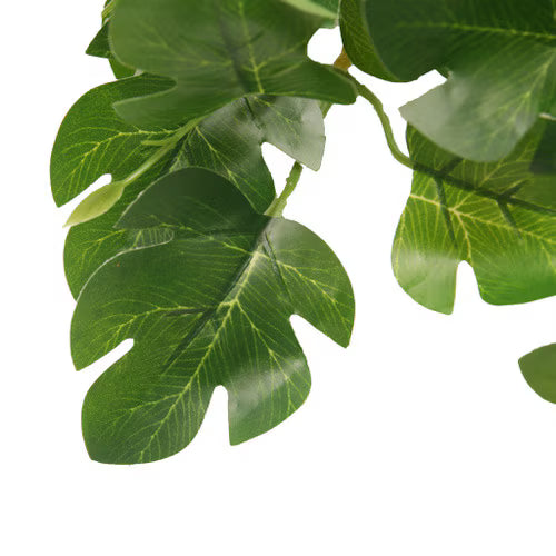 Habistat Hanging Vine, Begonia 60cm