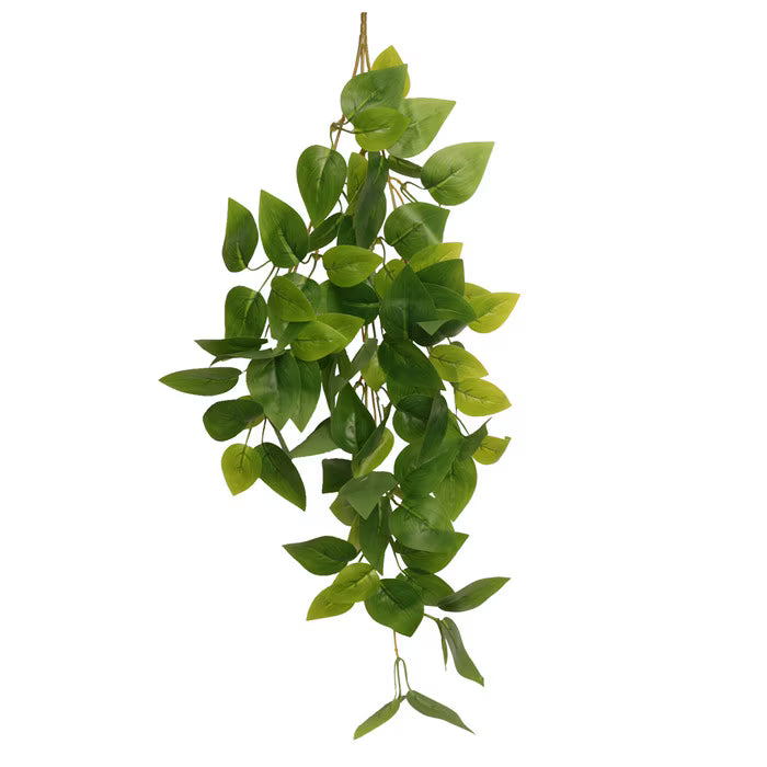 Habistat Hanging Vine, Forever Green 60cm