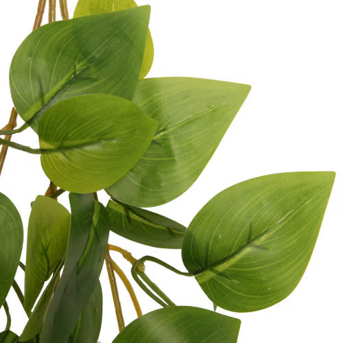 Habistat Hanging Vine, Forever Green 60cm